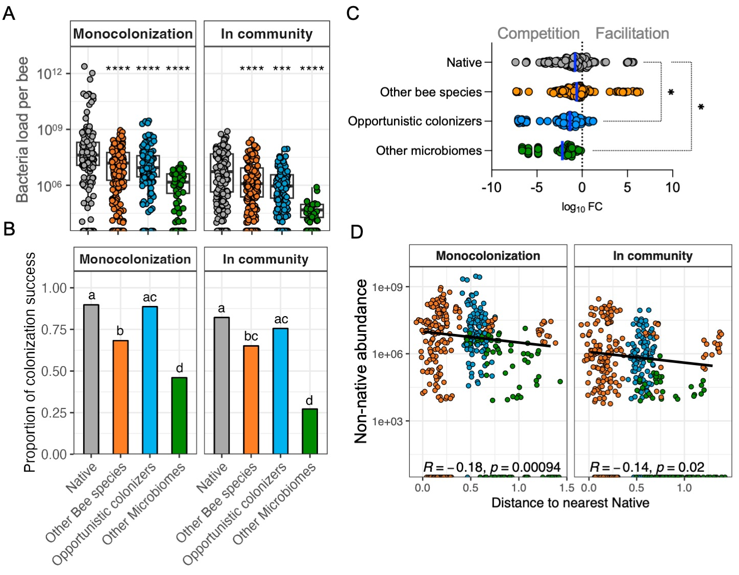 Bacterial categories differ in their absolute loads and overall colonization success. A. Abundance of each strain, grouped by isolation source, in the honey bee gut during monocolonization or in the presence of the native community. Pairwise Wilcoxon rank-sum test. P-values were adjusted using FDR method. Asterisks denote pairwise comparisons to the Native category within each context (mono or SC). For context, total bacterial loads in microbiota-depleted (MD) and native community–colonized (SC) control bees are shown in Fig. S1. B. Proportion of colonization success of each strain, grouped by isolation source, in the honey bee gut during monocolonization or in the presence of the native community. Different lowercase letters indicate significant differences based on Chi-square for equality of proportions and p-value FDR-corrected for multiple comparisons. Community: χ²(3)=99.7, p<2.2×10⁻¹⁶; estimates: 0.82 vs 0.65 vs 0.76 vs 0.27; FDR pairwise: native > other-bee, q=3.9×10⁻⁴; other microbiomes < all, q≤1.2×10⁻¹⁰; native ≈ opportunistic, q=0.21. Bars show pooled proportions within each category (Σsuccess / Σtotal; n=12 bees per strain. C. Difference in abundance of each strain between monocolonization and in the presence of the native community, grouped by isolation source, and expressed in log10 fold change (log10FC). log10FC < 0 indicates competition (lower abundance in community), whereas log10FC > 0 indicates facilitation (higher abundance in community. Kruskal-Wallis rank sum test, FDR corrected p-value. The mean log10FCFC shows that competition is significant in all categories based on one sample Wilcoxon test , FDR corrected. P value < 0.0001 for all categories. Significance labels as p<=0.0001: , p<=0.001: , p<=0.05: . D. Differences in abundance of non-native strains correlate with phylogenetic distance to their nearest native strain. Phylogenetic distances are the horizontal distances in the phylogenetic tree (Figure 1A). R depicts Spearman correlation coefficient. Only non-native strains are shown (native strains are excluded); point colors indicate ecological category.