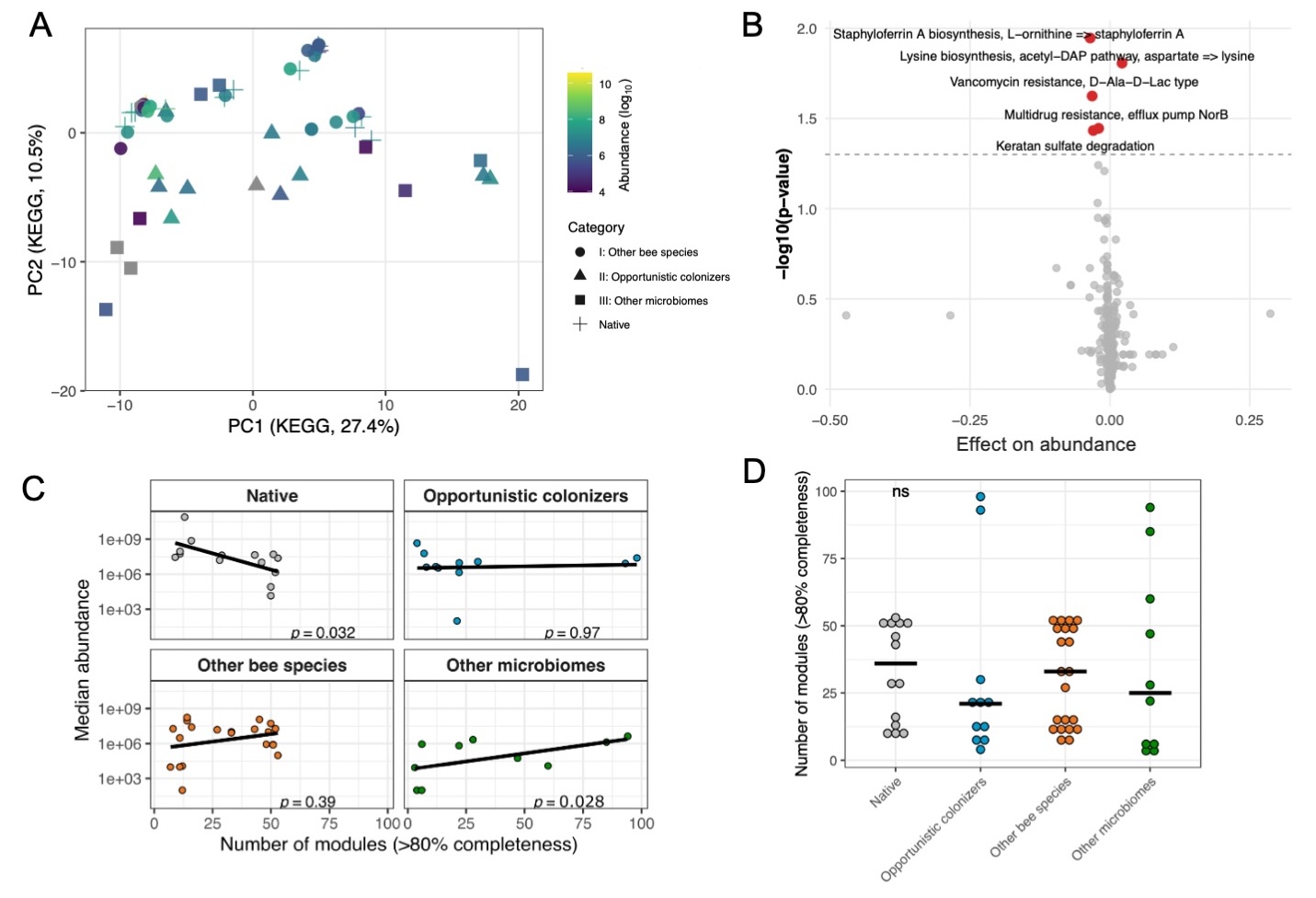 Metabolic capacity of the tested strains across the four isolation categories. A. PCA of KEGG module completeness across strains. Principal component analysis was performed on KEGG module completeness profiles. Each point is a strain, positioned by PC1 (27.4%) and PC2 (10.5%), colored by abundance in monocolonization. The shape indicates the category. B. Association between KEGG module presence and bacterial abundance. Each point is one KEGG module from the mixed-effects model (model: log_median ~ module + Category + Colonization_mode + (1 | genus)). The dashed line marks p = 0.05. The model adjusts for category and genus. Points in red are modules with p-value < 0.05. C. Relationship between strain abundance and metabolic module content. Median abundance of each strain in monocolonization is plotted against its total number of KEGG modules with ≥80% completeness. Points are coloured by colonization category. A rank-based mixed-effects model was fitted accounting for category and genus: log_median_rank ~ Number.of.modules_rank + Category + (1 | genus). Isolation category explained part of the variation, whereas there was minimal genus-level variance (intercept for genus was estimated at 0) for n = 56 strains from 25 genera. D. Metabolically complete modules by isolation category. Number of KEGG modules ≥80% complete per strain, compared across categories using a mix model (n_mod80 ~ Category + (1 | genus)).