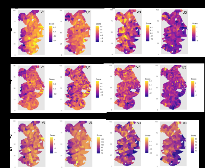 Metascape network graphs for three protein clusters: (a) Synaptic signaling, vesicle-mediated transport, neurotransmitters, cell-cell adhesion; (b) Mitochondria, aerobic respiration; © Splicing.