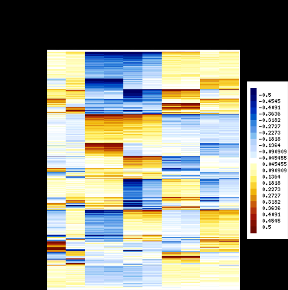 Figure 4: Heatmap of differentially expressed genes across samples. Heatmap displays relative gene expression patterns for DEGs identified at each developmental stage. For visualization, log₁₀-transformed expression values were row-centered such that each gene’s mean expression across all samples equals zero. Color indicates expression relative to that gene’s mean level (blue, lower than average; yellow/brown, higher than average). Values were not variance-scaled. Genes (rows) are ordered by hierarchical clustering.