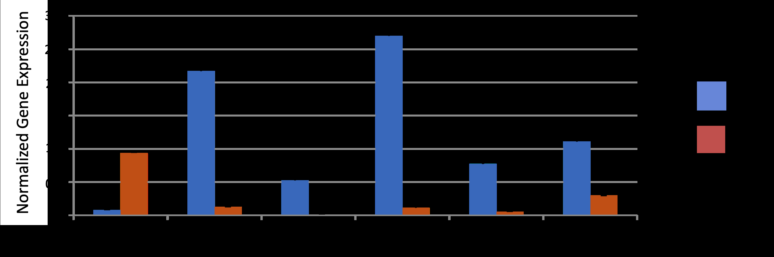 Figure 5: Real time - qPCR of selected placental genes. Two biological replicates per genotype were assayed in triplicate. The bars represent the mean of the two biological replicates per genotype (n = 2), + SEM. Values for each gene were rescaled, independently, to permit visualization on a shared panel. Absolute values cannot be compared between genes. The original single gene plots with their native scales are provided in Supplementary Data, S8.