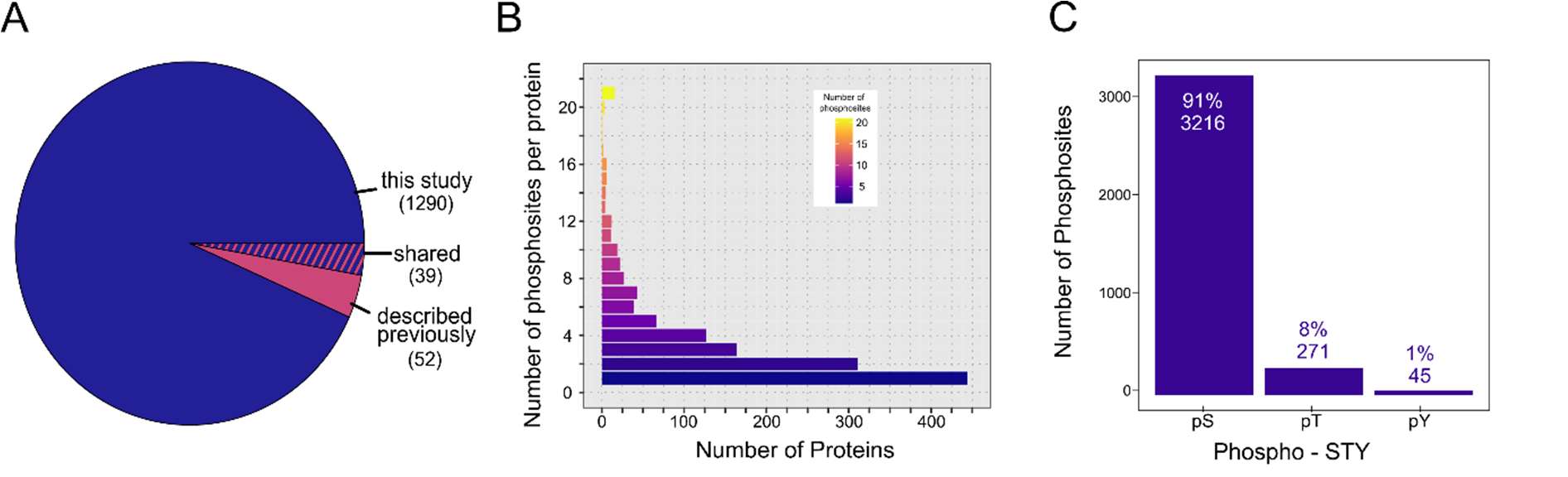 Figure 2: (A) The pie chart depicts phosphoproteins that were previously reported by Kwon et al. 2014 [15] and those that were identified in the present study, as well as those that were identified in both studies. (B) Distribution of the phosphorylation sites per protein over all phosphoproteins. Proteins with 21 or more phosphosites per protein were summarized. © Distribution of phosphosites across serine, threonine, and tyrosine residues.