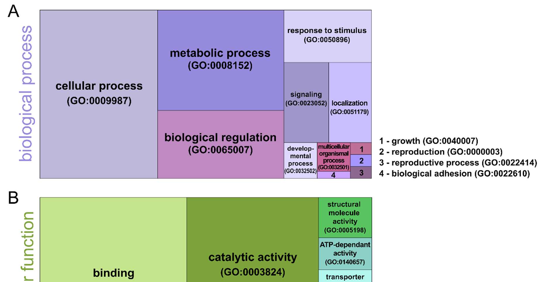 Figure 3: Treemap of gene ontology (GO) terms for phosphorylated proteins. (A) for the GO aspect “biological process” (B) for the GO aspect “molecular function” © for protein classes.
