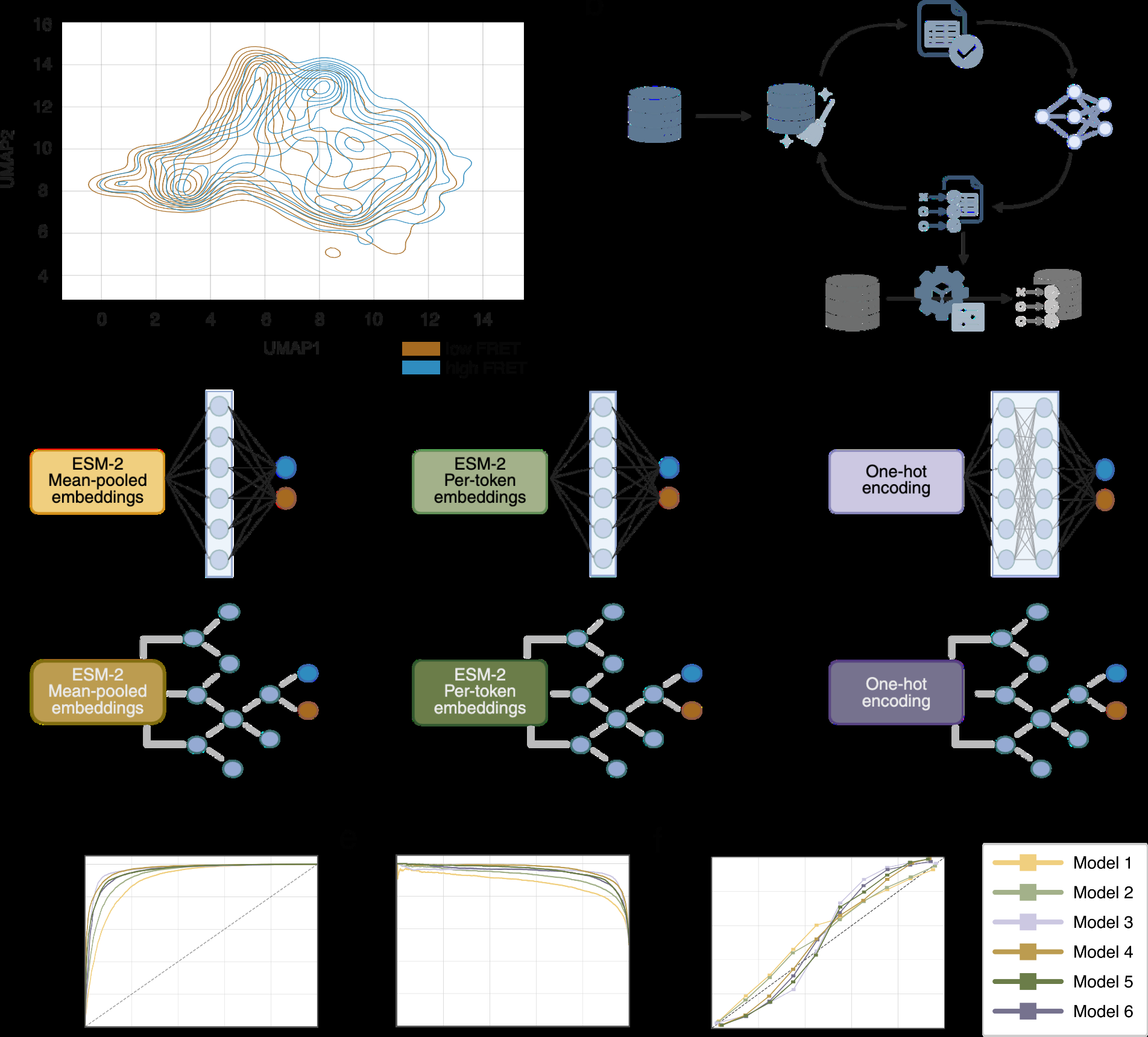 Figure 3: Overview of FRET Classification Models and Data Representation. (a) Contour plot of 2D UMAP projected ESM-2 per-token embeddings for the high/low-FRET dataset selected for supervised training of the classifiers. Colors indicate experimentally defined low-FRET (dark burgundy) and high-FRET (blue) populations from all rounds. (b) Data handling pipeline for supervised classification of random sequences, illustrating the iterative selection of high- and low-FRET training data in the absence of clear class separation. © Architectures of the six trained classifiers. Neural Network type of models - Model 1: logistic regression using mean-pooled ESM-2 embeddings. Model 2: logistic regression using per-token ESM-2 embeddings. Model 3: multilayer perceptron (MLP) using one-hot encoded sequences as input and their Random Forest Classifier counterparts - Model 4, Model 5 and Model 6 with the same inputs in the respective order. All models output a probability (0-1); each sequence is classified as high-FRET if its calibrated probability is greater than or equal to the validation-optimized threshold chosen to maximize F1, and as low-FRET otherwise. (d-f) Performance comparison of the six models on the held-out test dataset with usage of MMseqs2-guided diversity strategy, evaluated by ROC curves (d), Precision/Recall curves (e) and Reliability diagram (f).