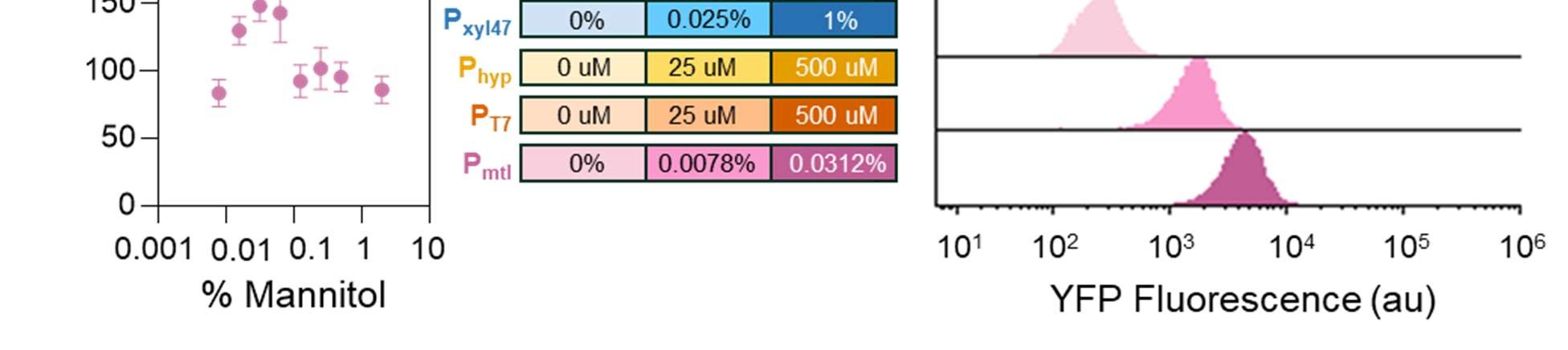 Figure 2: Comparison of common inducible promoters for competence induction. a) Construct design for inducible competence strains with competence reporter. b) Time course of OD~600~-normalized fluorescence of each strain at maximum inducer level. Induction occurs at 0 h, DNA is added at 1.5 h, fresh LB is added at 2.5 h, and cells are plated at 3.5 h. c) Reporter activity at 2.5 h obtained from the inducible promoters controlling ComK or WT under Spizizen protocol at equivalent time point. d) and e) Population distributions of reporter activity for each inducible condition or WT under Spizizen protocol at time of recovery. Counts are normalized to 100. Percent of the population displaying reporter activity defined by gray marker shown in (d). f) Transformation frequencies obtained from five inducible promoters controlling ComK expression. Statistical significance was determined by two-sided T-test (α = 0.05).