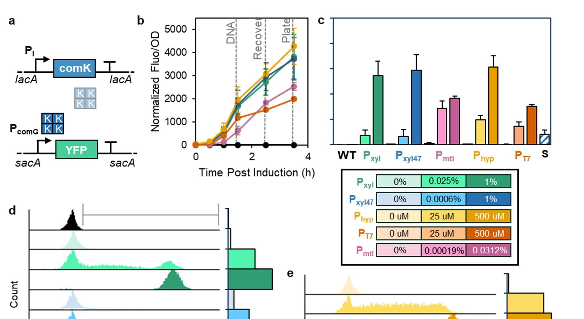 Figure 3: Trade-off between induction and total number of CFU driving transformation efficiency a) Dose response curves for P xyl - comK and b) P mtl - comK strains. Statistical significance was determined by two-sided T-test (α = 0.05). c) OD~600~ growth curves of P xyl - comK and d) P mtl - comK strain at various concentrations of inducer. e) Correlation between transformants/mL and reporter activity at 2.5 h. Spearman’s rank correlation used to test the relationship.