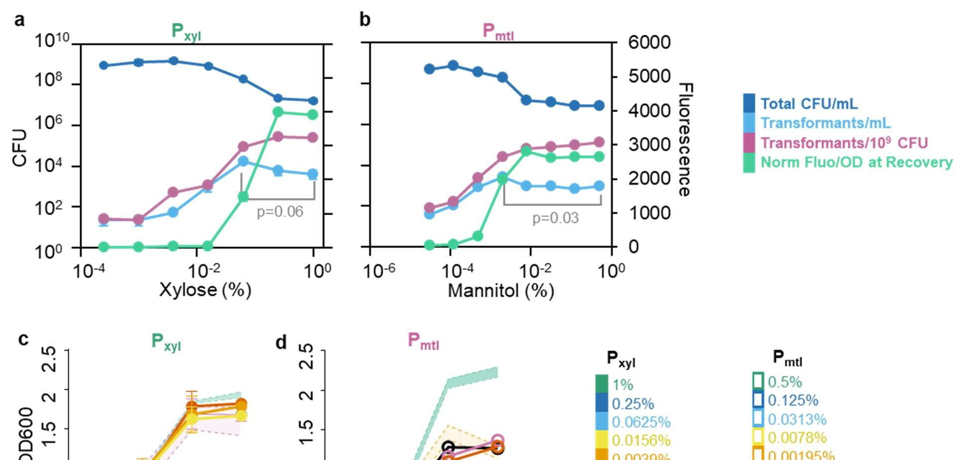 Figure 5: Disruption of native competence regulation does not improve transformation efficiency and shifts relationship with the competence reporter. a) A schematic depicting how several negative regulators impact ComK expression. b) Effect of negative regulator knockouts on transformation and reporter activity at 3 h. The yellow line indicates transformants/mL obtained with P xyl - comK under the optimized protocol at 2 %. c) Dose response characterization of P xyl - comK and d) P xyl47 - comK strains in native Δ comK background. The yellow line indicates transformants/mL obtained with P xyl - comK under the optimized protocol at 2%. * indicates p < 0.05 for a two-sided T-test comparing transformants/mL to the optimized protocol at 2 %. e) Correlation between transformation frequency and reporter activity at 3 h in different genetic backgrounds. The yellow start data series corresponds to P xyl - comK at various xylose concentrations under the optimized protocol. f) Population distribution of reporter activity 3 h post-induction for P xyl - comK and g) P xyl47 - comK Δ comK strains.