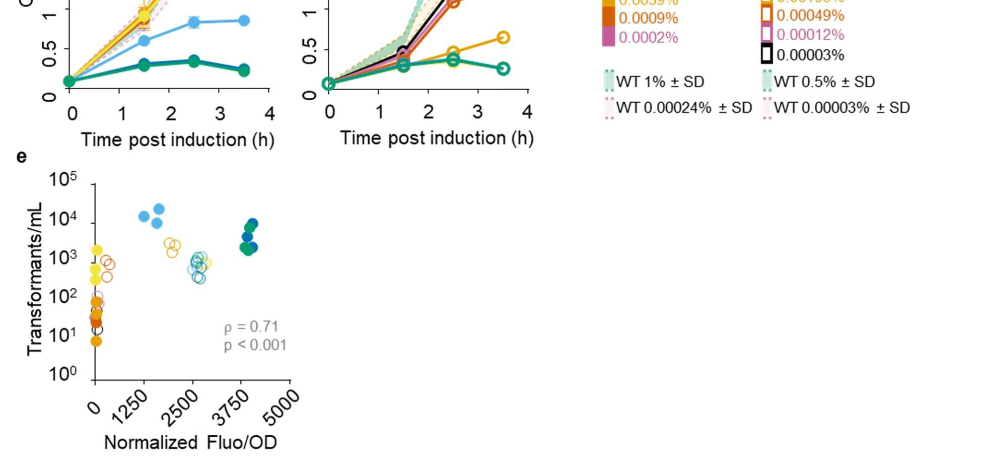 Figure 6: Dual protein spore display library design and construction. a) Transformants and b) co-transformation frequency obtained when pBS1C is co-transformed with variable amount of cotransforming DNA of CotG-GUS or CotY-GUS for allelic replacement. Co-transformants were quantified by blue-white screen on SG plates with X-Gluc. c) Chromosomal integration sites and construct design for spore protein-fluorescent protein fusions. Blue text indicates native spore protein loci and green text indicates orthogonal loci. d) Transformants/mL obtained over six rounds of co-transformation of Library-24 and Library-30. Sp = spectinomycin; Cm = chloramphenicol; Em = erythromycin. e) Frequency of integrations identified by MASC PCR over six rounds of co-transformation (n = 10). f) Frequency of integration at different loci over six rounds of co-transformation (n = 10). CT = co-transformation.
