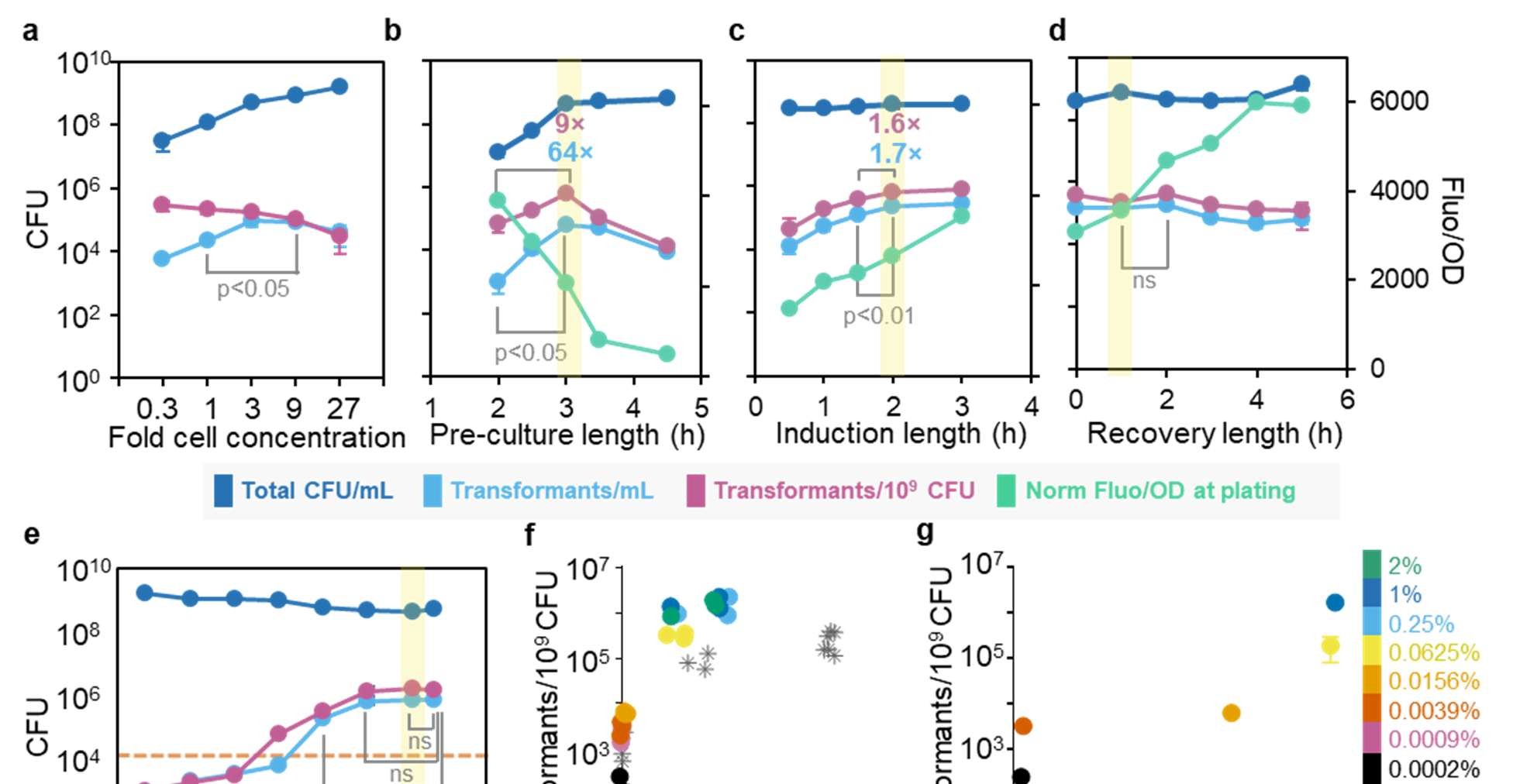 Figure 7: Analysis of top variants from co-transformation library screen. a) mCherry and YFP fluorescence from the screen of 186 random colonies from Library 30 and b) Library 24. Top variants are depicted in blue. c) Fluorescence of purified variants from Library 30 and d) Library 24. The green and purple lines represent CotY-YFP and mCherry (L30) or SscA-YFP and mCherry (L24), respectively. The table depicts the genotype of each strain. Green indicates YFP integration while purple indicates mCherry integration. The letters depict which spore protein was integrated at orthogonal loci. e) Fluorescence synergy of selected variants over the additive fluorescence of respective control strains. Variants from L30 are noted by (*).