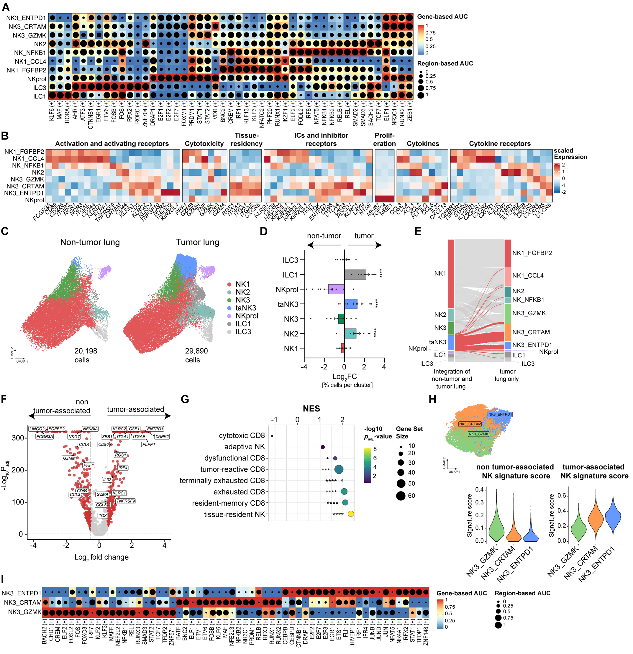 Figure 2: NK cells exhibiting a tissue-resident and dysfunctional profile are enriched in tumor tissue. (A and B) Heatmap visualizing the differential activity of (A) enhancer-driven regulons, indicated by (+), and (B) gene expression of indicated genes in NK cell clusters (ICs = immune checkpoints). © Integrated UMAP representation of non-tumor lung (Sikkema et al. (62), Bischoff et al. (63)) and tumor lung NK cells split by tissue origin (ta = tumor-associated). (D) Bar graph depicting mean ± SEM of log2 fold change (Log2FC) of cell frequencies in each cluster from individual lung tumor samples, compared to the average frequencies of the corresponding clusters in non-tumor lung tissue. (tumor lung: n=11, non-tumor lung: n=50) (E) Alluvial plot showing the distribution of integrated non-tumor and tumor lung NK cells across clusters identified in the tumor lung NK cell UMAP. (F) Volcano plot depicting differentially expressed genes (DEGs) between tumor-associated and non tumor-associated NK cells. (G) Dot plot showing normalized gene set enrichment analysis (GSEA) scores (NES) of published signatures (13, 31, 54, 65-66, 119) in tumor-associated NK (taNK) cells signature. (H) UMAP visualization of re-clustered NK3 subsets (left) alongside violin and feature plots (right) showing the enrichment of the taNK signature and the non-taNK signature (top 30 genes) within these NK3 clusters. (I) Heatmap displaying the differential activity of enhancer-driven regulons, indicated by (+), across each NK3 cluster. Data were analyzed by (D) Wilcoxon signed-rank test on raw frequency values, (F) using the MAST hurdle model and P-values were calculated using a likelihood ratio test and adjusted for multiple comparisons using Bonferroni correction, (G) permutation-based testing with adjustment for multiple comparisons using ClusterProfiler. *P < 0.05, **P < 0.01, ***P < 0.001, ****P < 0.0001