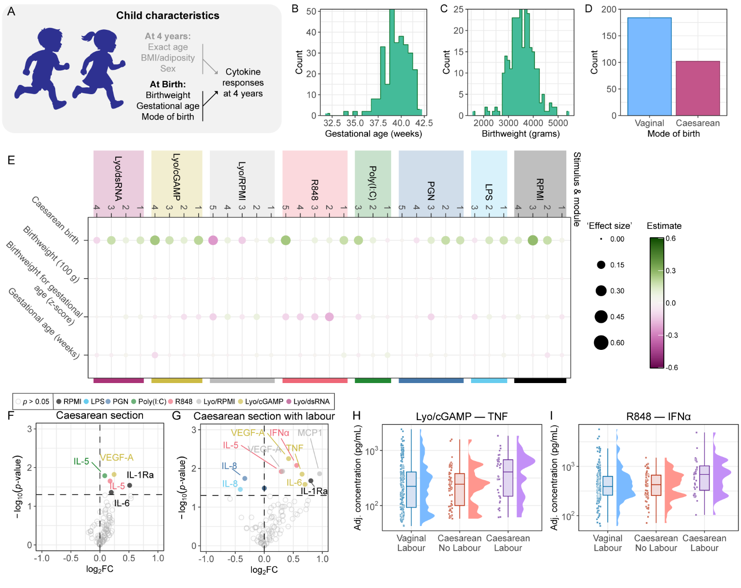 Figure 7: Seasonal community infections coincide with peaks in cytokine responses. (A) Schematic overview of the performed analyses. (B) Number of positive viral swabs (log-transformed and standardised) overlaid on expression scores of modules that exhibit seasonal variation. © Same as for B but showing the total number of swabs taken. (D) Dotplot summarising regression results between each variable of interest and cytokine module expression score. In each dot ‘*’ indicates FDR-adjusted p < 0.05. ‘Effect size’ was calculated as absolute value of the regression estimate. (E) Volcano plot indicating the change in cytokine levels with an increase of 1 SD in positive viral swabs in the month of blood collection. (F) Volcano plot indicating the change in cytokine levels with an increase of 1 SD in total viral swabs in the month of blood collection. (G-I) Scatter plots showing covariate-adjusted concentrations of respectively TNF, IL-1β, or IL-10 upon stimulation with Lyovec/dsRNA, as a function of positive viral swabs in the month of blood collection. In this figure, ‘covariate adjusted’ includes time in freezer, exact incubation time, and sex, age, and BMI. The p-values in panels E-I are unadjusted. The ribbon around the regression line (panels B-C, G-I) indicates the 95% confidence interval around the estimate.